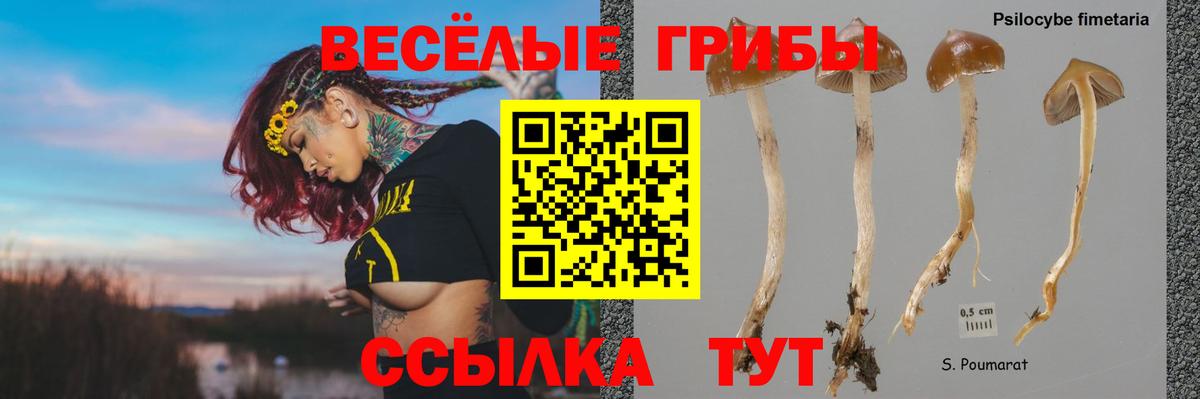 Балашиха  Галлюциногенные грибы мицелий  купить наркоту  Вход с VPN 
